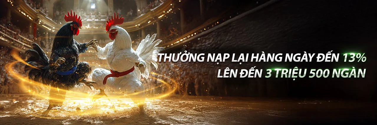 Một trận đấu gà kịch tính tại 898bet nhà cái